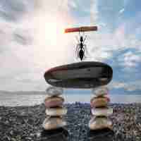 nodejs开﻿启‍服﻿务﻿器‌